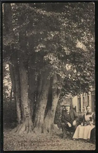 AK Doorn, De zestvenstammige beuk