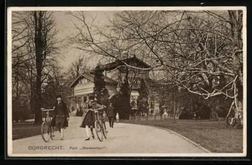 AK Dordrecht, Park Merwesteyn