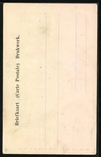 AK Delfzijl, Temgkeer van het Koninklijk Echtpaar, 29. Jui 1903