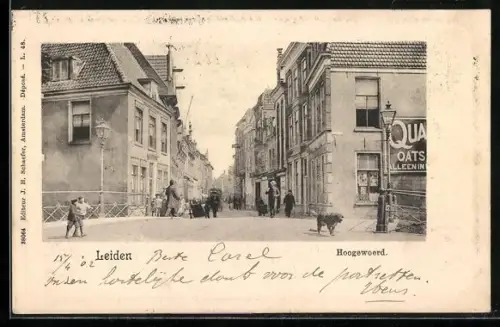 AK Leiden, Hoogewoerd