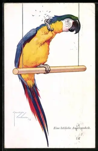 Künstler-AK Lawson Wood: Ara kratzt sich den Kopf