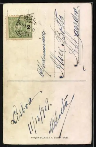 AK Norwegische Damen in typischer Nationaltracht