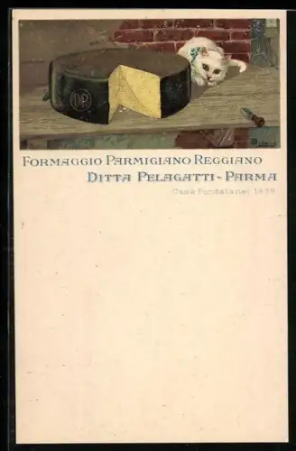 Künstler-AK Katze mit angeschnittenem Laib Parmiggiano Reggiano