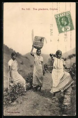 AK Ceylon, Tea pluckers