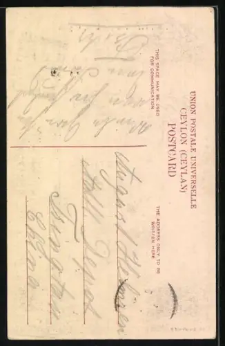 AK Ceylon, Tea pluckers