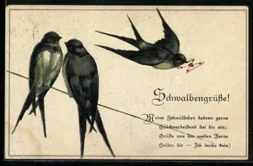 AK Schwalbenpaar und Briefschwalbe mit Liebesbrief