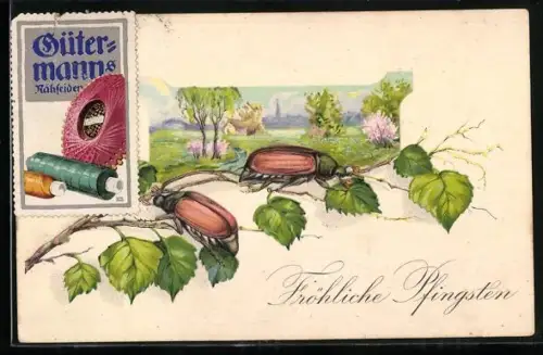 AK Sommerlandschaft und Maikäfer auf einem Zweig, Pfingstgruss
