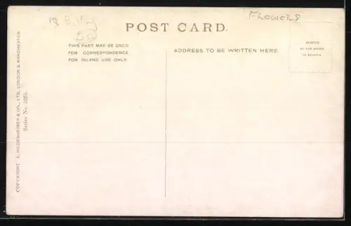 Künstler-AK M.Billing: Weintrauben auf einem Teller, Stillleben