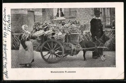 AK Maraîchers Flamands, Flämische Gemüseverkäuferin mit Hundegespann