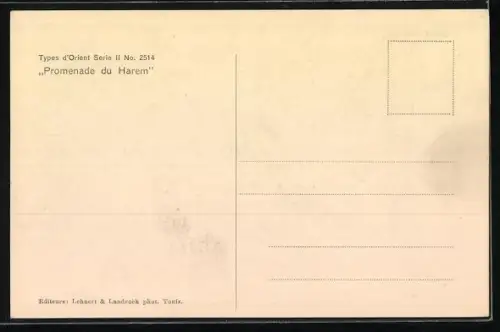 AK Types d`Orient, Promenade du Harem, Gruppe von Haremsdamen