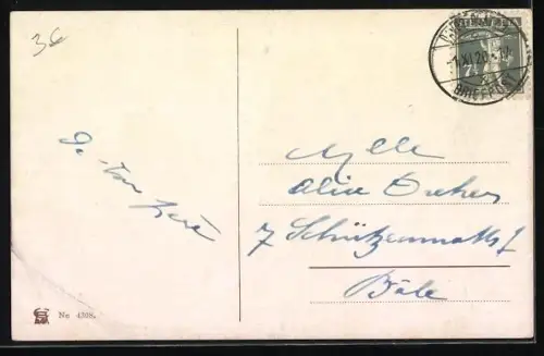 AK Pudel rennt im Regen durch eine Strasse