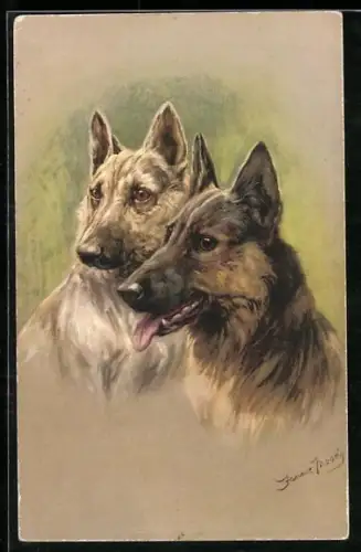 Künstler-AK Portrait zweier Schäferhunde