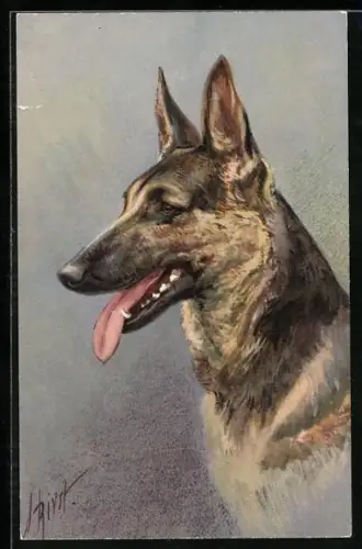 Künstler-AK Schäferhund im Profil