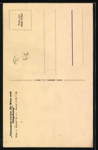 AK Seitenportrait eines Schäferhundes - Karte vom Wiener Tierschutzverein