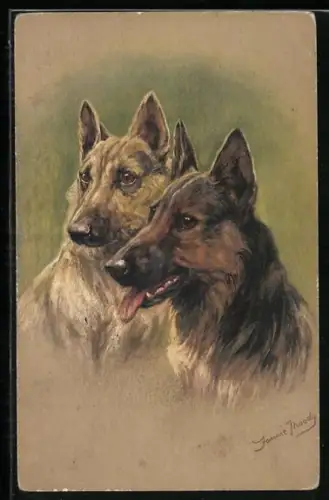Künstler-AK Portrait zweier Schäferhunde
