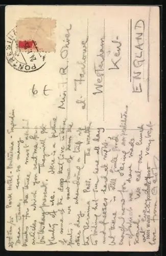 AK Bernhardiner steht im Schnee