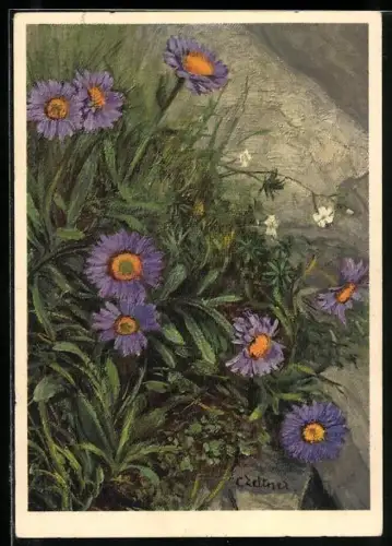 Künstler-AK Jean Zeltner: Alpen-Astern