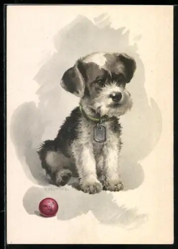 Künstler-AK kleiner Terrier mit Halsband und Spielzeug