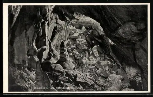 AK Rübeland im Harz, Baumannshöhle, Schildkrötenschlucht