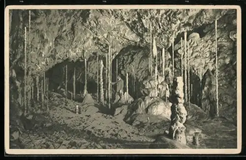 AK Macocha, Katharinengrotte, Stalagmitenwäldchen