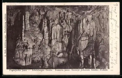 AK Adelsberger Grotte, Fichten in der Johannes Grotte