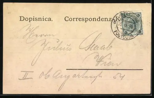 AK Adelsberger Grotte, Fichten in der Johannes Grotte