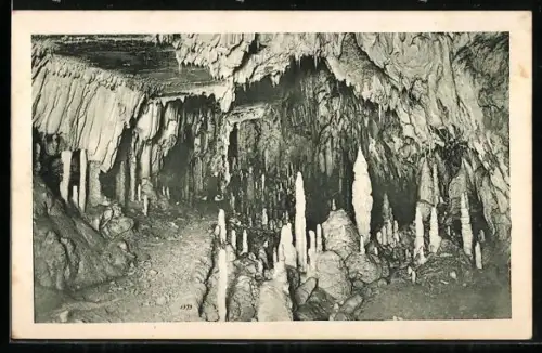 AK Adelsberger Grotte, Eine Galerie in der Erzherzog Johann Grotte