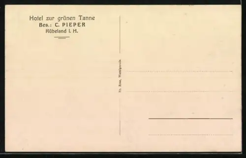 AK Rübeland im Harz, Hermannshöhle, Die Kanzel mit Denkmal