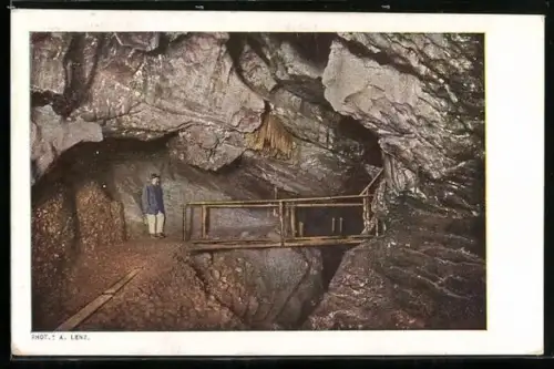 AK Lurhöhle, Vorhang in der Paul Paillergrotte