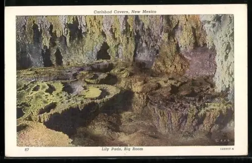 AK Carlsbad Cavern, New Mexico, Lily Pads, Big Room