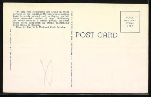 AK Carlsbad Cavern, New Mexico, Lily Pads, Big Room