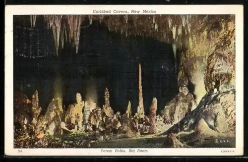 AK Carlsbad Cavern, New Mexico, Totem Poles, Big Room