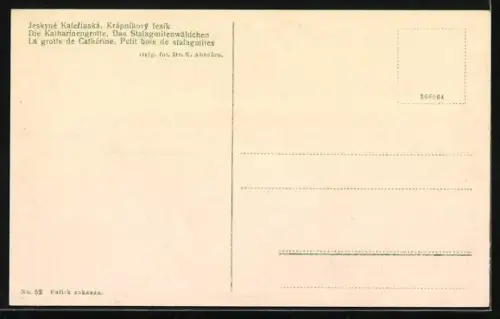 AK Macocha, Katharinengrotte, Stalagmitenwäldchen