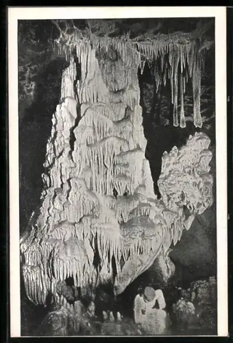 AK Macocha, Punkwa-Tropfsteinhöhlen