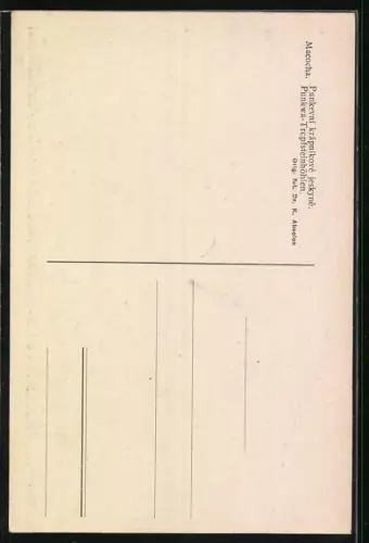AK Macocha, Punkwa-Tropfsteinhöhlen