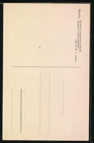 AK Blansko, Punkvahöhlen, Der Wächter