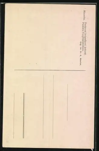 AK Macocha, Punkwa-Tropfsteinhöhlen