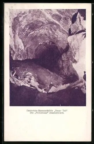 AK Dachstein-Mammuthöhle Neuer Teil, Die Paläotraun stromabwärts
