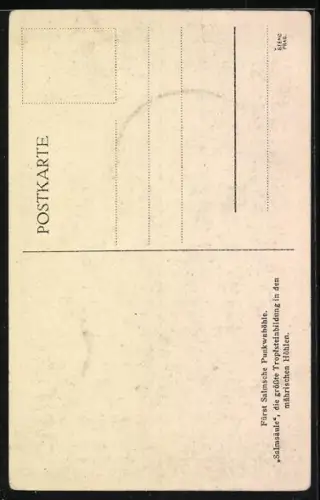 AK Kníz, Salmská Punkevní jeskyne, Höhle