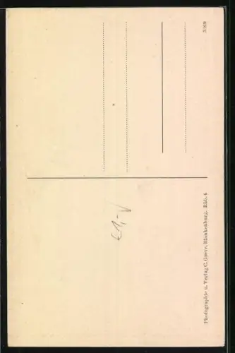 AK Rübeland /Harz, 8000-jährige Säule in der Hermannshöhle