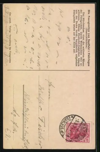 AK Saalfeld, Feengrotten, Der Märchendom mit der Gralsburg