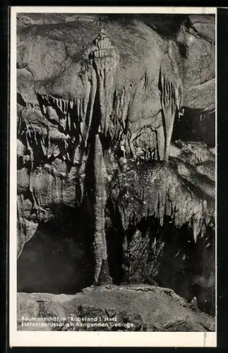 AK Rübeland i. Harz, Baumannshöhle, Elefantenrüssel am hängenden Gebirge