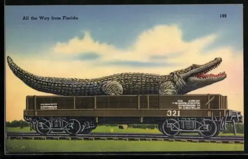 AK Florida, Alligator wird auf einem Flachwaggon transportiert