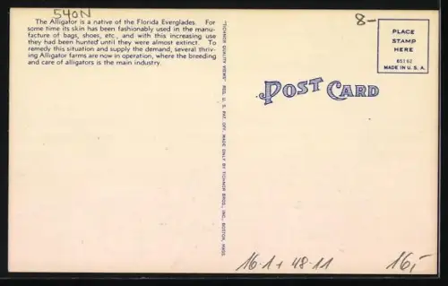 AK Florida, Alligator wird auf einem Flachwaggon transportiert