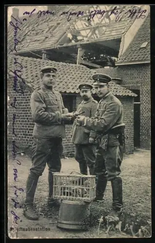 AK Husaren mit Brieftauben auf einer Brieftaubenstation