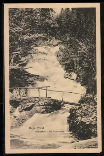 AK Bodenmais /Bayr. Wald, Rieslochfälle mit Brücke