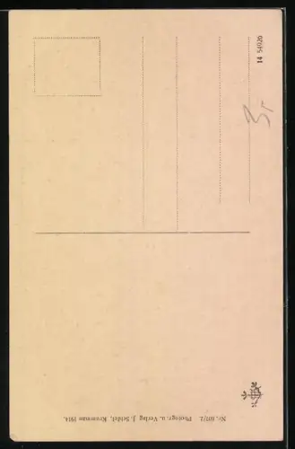 AK Bodenmais /Bayr. Wald, Rieslochfälle mit Brücke