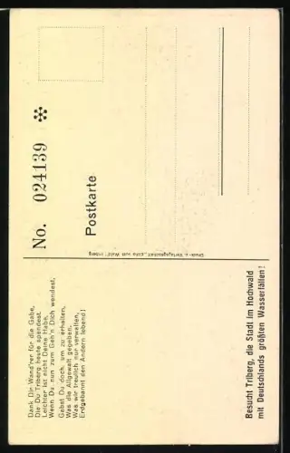 AK Triberg, Brücke über den Wasserfall