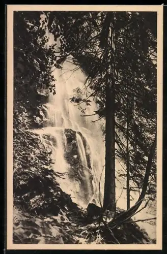 AK Wild-Gutachtal /Bad. Schwarzwald, Zweribachfall im Wald