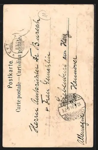 AK Territet /Lac Léman, Panorama et la Dent du Midi